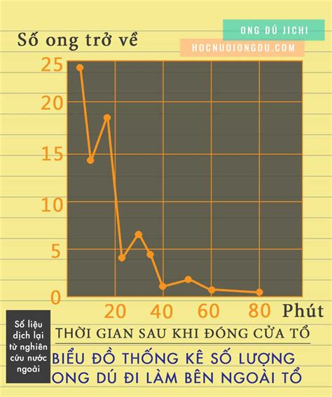Ong Dú Bay Xa Cỡ Nào? 3 Cách Xác Định Tổ Ong Dú Bay Bao Xa