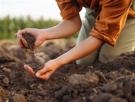 prepare  garden soil  spring planting backyard boss