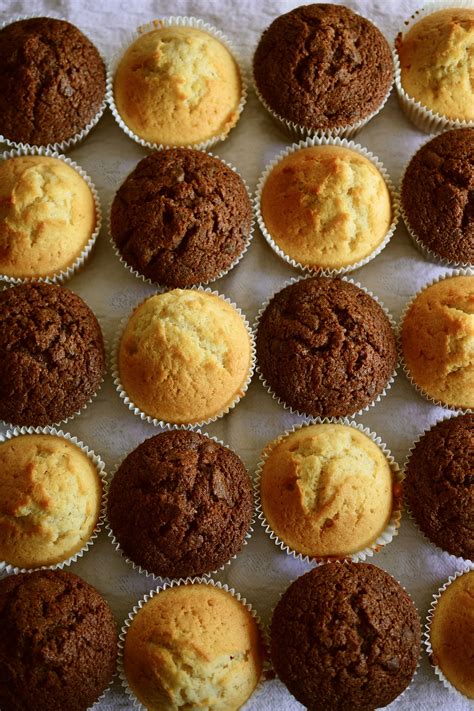cara membuat muffin cup cake 3