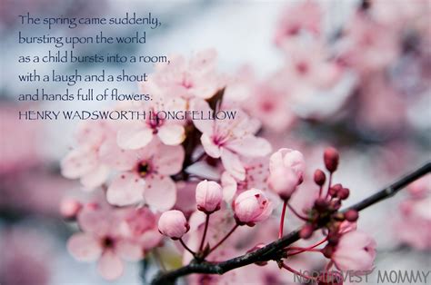 Quotes About Friendship And Springtime. QuotesGram