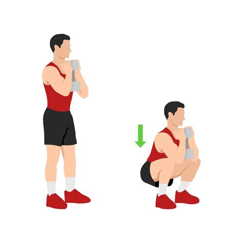 Full Body Dumbbell Workout Plan For Women - Infoupdate.org