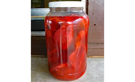 Pickled Pig Lips Recipe | Lipstutorial.org