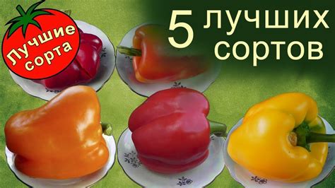 Лучшие Сорта Перца Сладкого - YouTube
