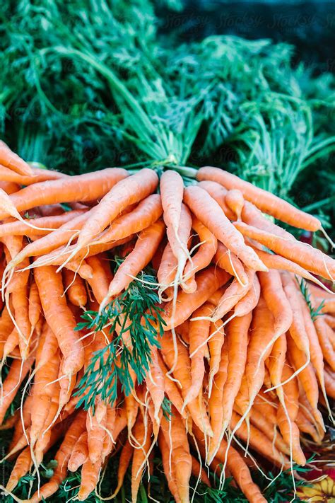 "A Bunch Of Fresh, Local, Organic Carrots For Sale At An Outdoors