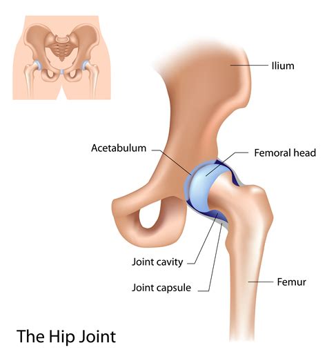 Hip Pain | Physiotherapy Treatment Singapore. Fast pain relief. Time