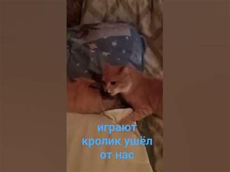 нет Бессмертия в жизни существ😇 - YouTube