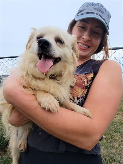 ashland animal rescue fund 2