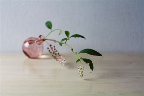 { T-stop }: Photo