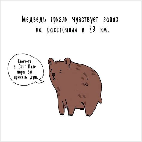 интересные факты | Прикол.ру — приколы, картинки, фотки и розыгрыши!