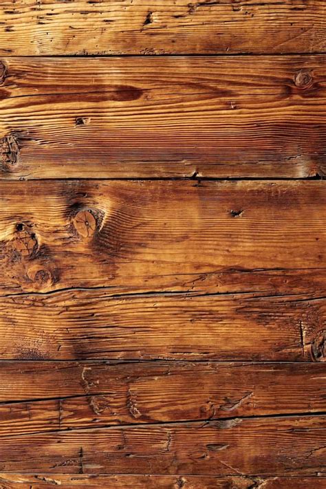 Hardwood vs Softwood: Difference and Comparison
