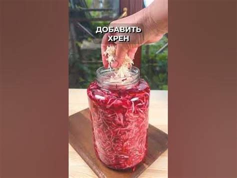 ️ЛЮБИМЫЙ РЕЦЕПТ ️ - YouTube
