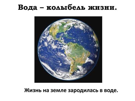 Вода – колыбель жизни. Жизнь на земле зародилась в воде - презентация ...