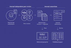 peer review model pushes  transparency  efficiency  science
