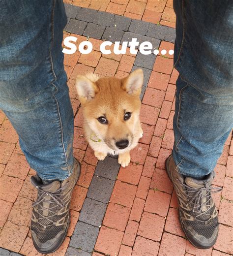 Happy Friday from the unbelievably cute but also very feisty