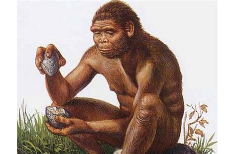 Cuadernos de un jubilado utópico: Homo habilis