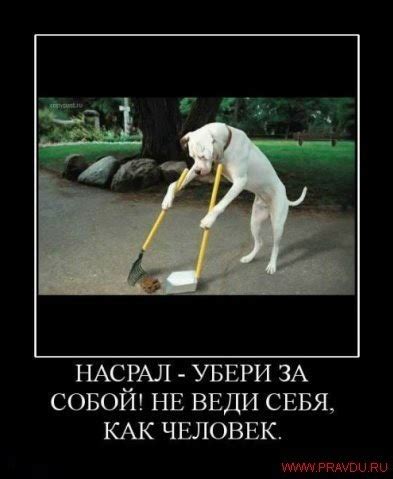 Картинки для размышления » Перуница