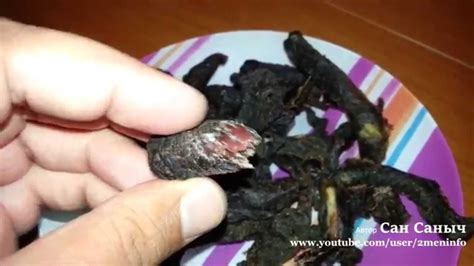 Как приготовить Beef Jerky Биф Джерки - вяленую говядину к пиву в ...