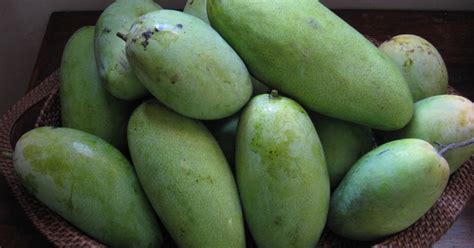 World of Knowledge: Mango