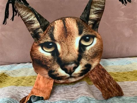Создать мем "шлёпа кот, кот каракал, рысь шлепа игрушка" - Картинки ...