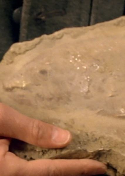 Sarcopterygian Fan Casting