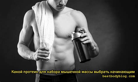 Какой Протеин Для Набора Массы Выбрать Начинающим?