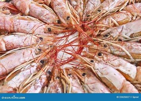 Prawns stock image. Image of spain, holiday, crustacean - 22635037