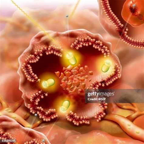 1,769 Gamma Ray Stock Photos, High-Res Pictures, and Images - Getty Images