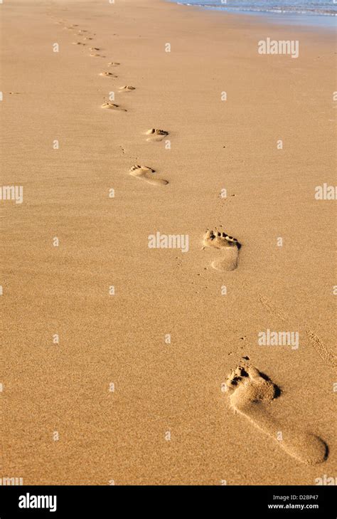 Footprints on the beach Stock Photo - Alamy