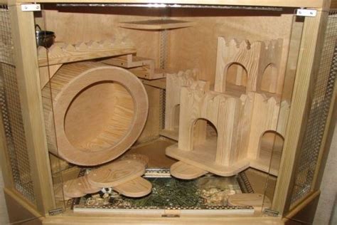 Игрушки для шиншилл: шар, гамак, колесо, полки, тоннели и др.