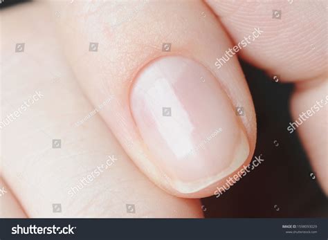 nails  nail polish images stock  vectors shutterstock