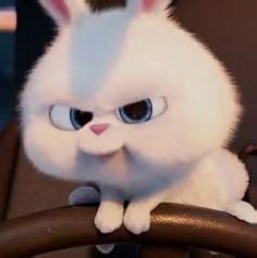24 Snowball rabbit ideas | snowball rabbit, cute bunny cartoon, cute ...