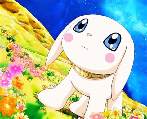 salamon on Tumblr