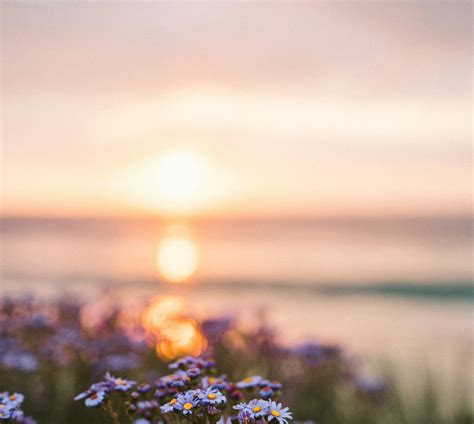 100,000+ Best Blur Photos · 100% Free Download · Pexels Stock Photos