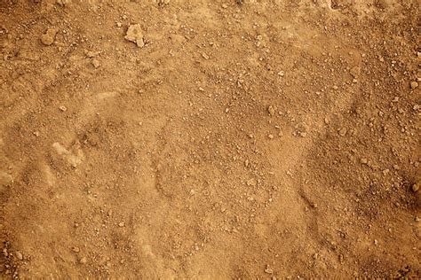soil texture stock  pictures royalty  images istock