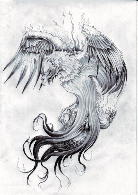 Phoenix Tattoo Sketch at PaintingValley.com | Explore collection of ...