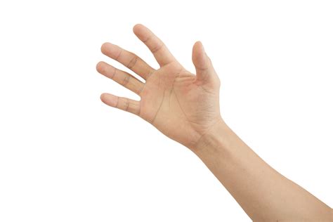 What Are Man Hands at Holly Bunny blog