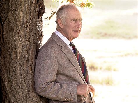 king charles iii portrait released  mark  birthday