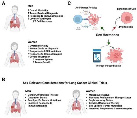 Sex Differences in Lung Cancer