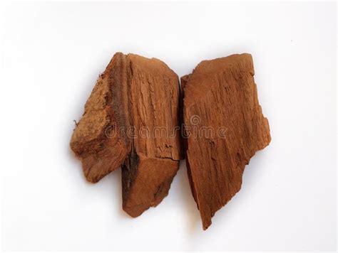 vijaysar pterocarpus marsupium   medicinal properties
