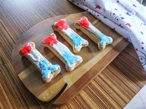 Red, White & Blueberry: Easy Fourth of July Dog Treats | DogVacay