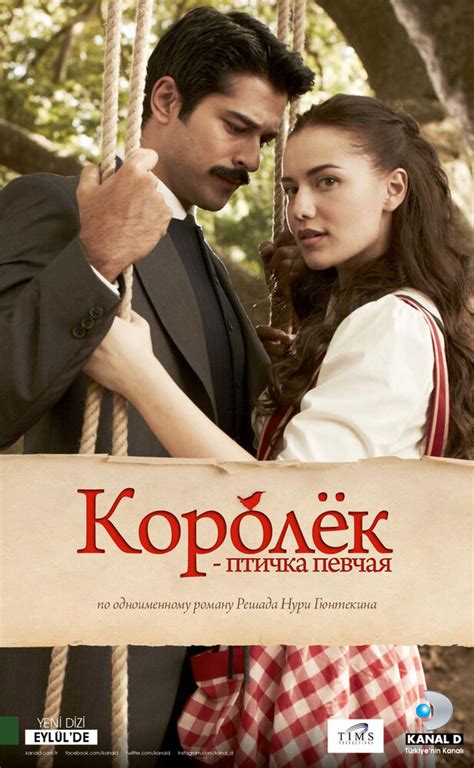 Королек Птичка Певчая 1986 На Андроид - protectionprogrammy