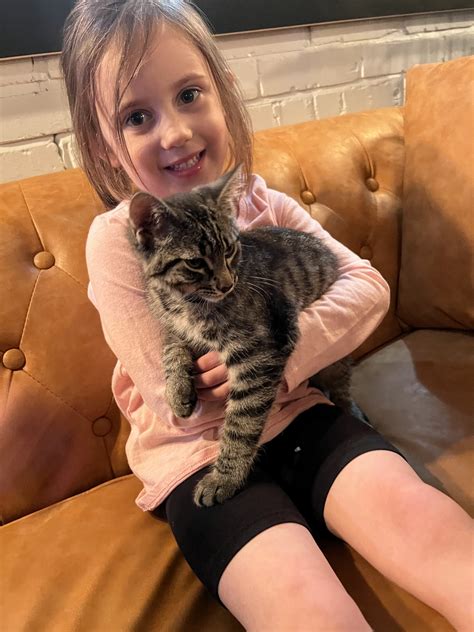 Events | Smelly Cat Rescue