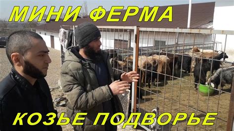 Козы - Мини ферма в Каскелене - YouTube
