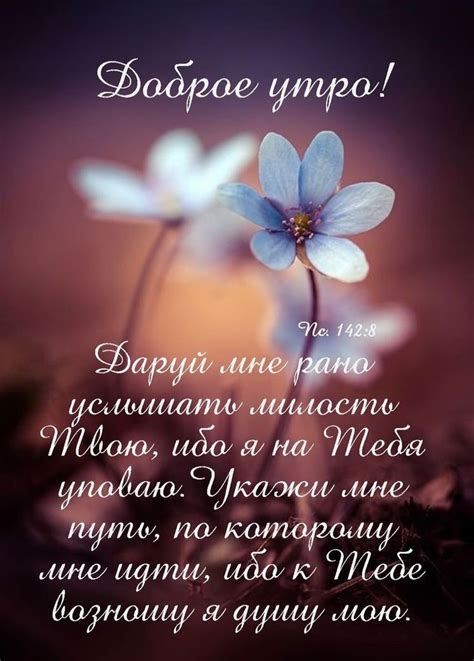 Свершилось