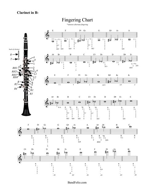 Clarinet Finger Placement Chart at Ruth Scanlon blog
