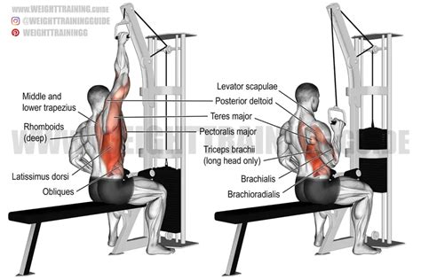 One-arm lat pull-down exercise guide and video | Weight Training Guide