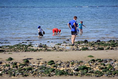 Beach Fun Family Free Stock Photo - Public Domain Pictures
