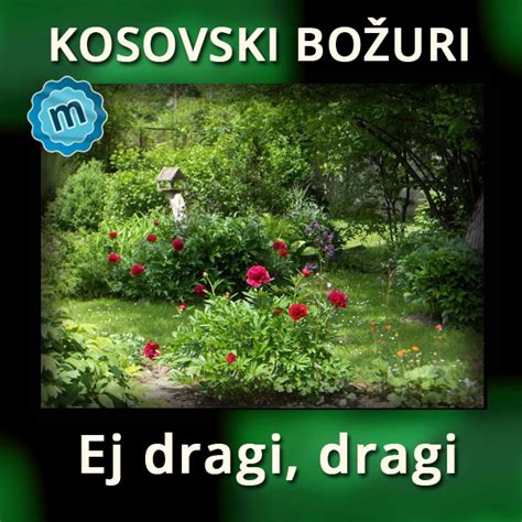 Kosovski Božuri – Ej dragi dragi – Soft Backing Tracks