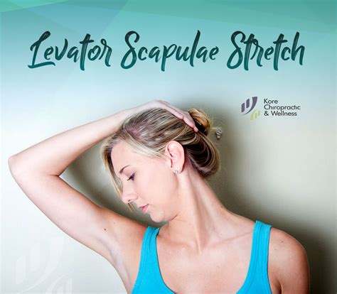 Levator Scapulae #Stretch 💪 In a sitting position, slowly and with ease