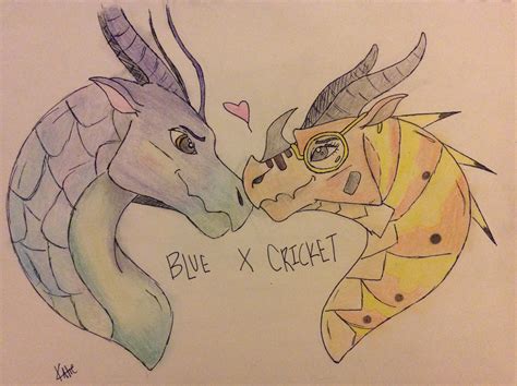 Wings Of Fire Cricket at Angelina Moresby blog